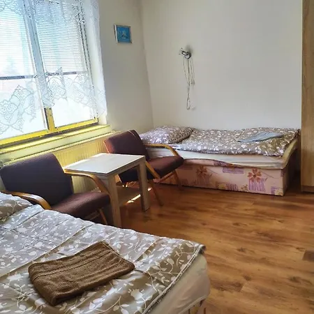 Guest house Penzion Renata 3*