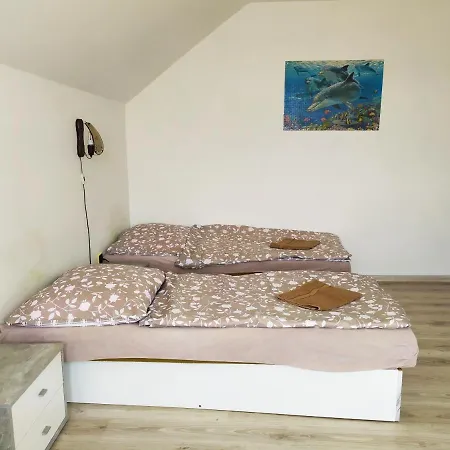 Guest house Penzion Renata 3*