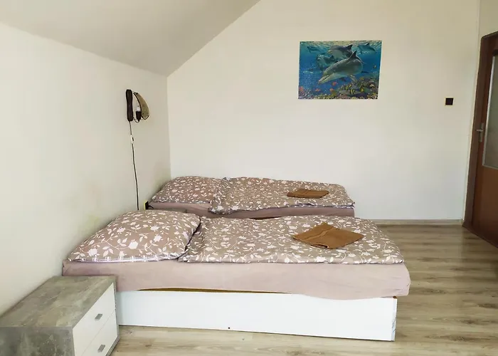 Guest house Penzion Renata 3*